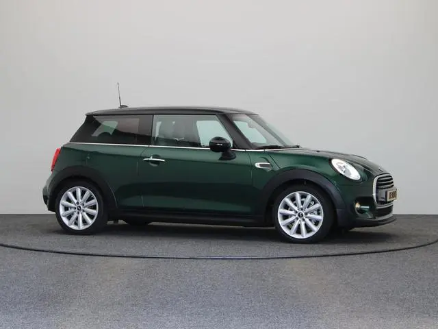 Mini Mini