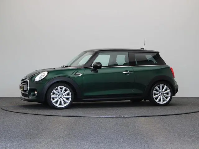 Mini Mini