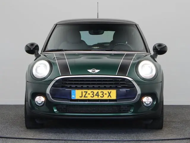 Mini Mini