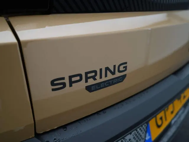 Dacia Spring