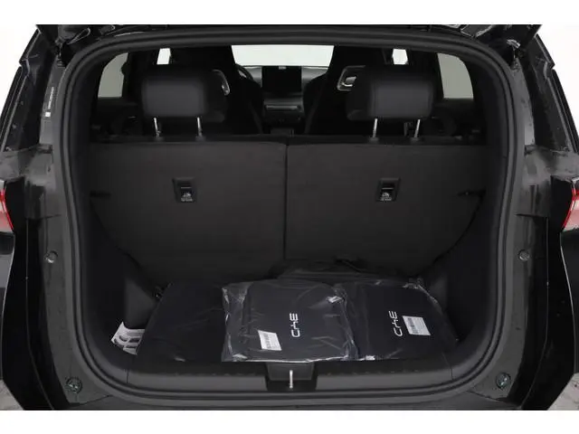 BYD DOLPHIN SURF