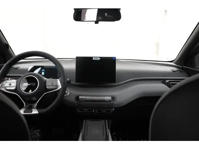 BYD DOLPHIN SURF