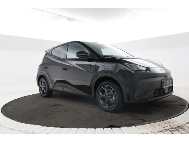 byd DOLPHIN SURF 15 STUKS!!! Comfort 43 kWh Comfort black en grey int.