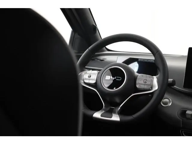 BYD DOLPHIN SURF