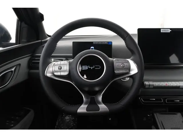 BYD DOLPHIN SURF