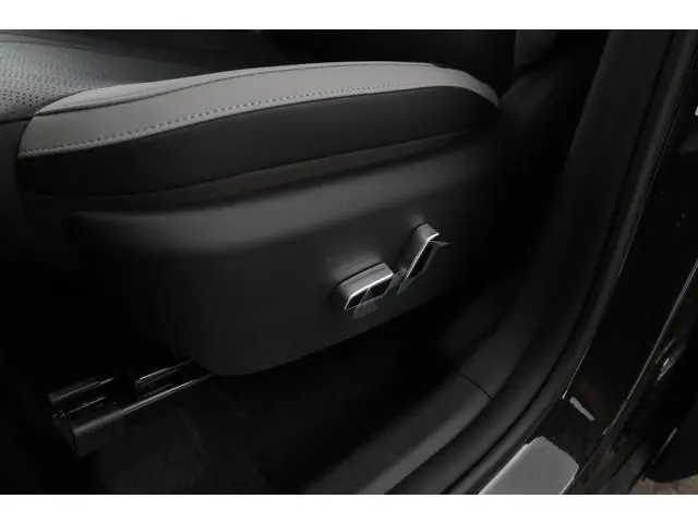 BYD DOLPHIN SURF