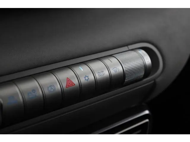 BYD DOLPHIN SURF