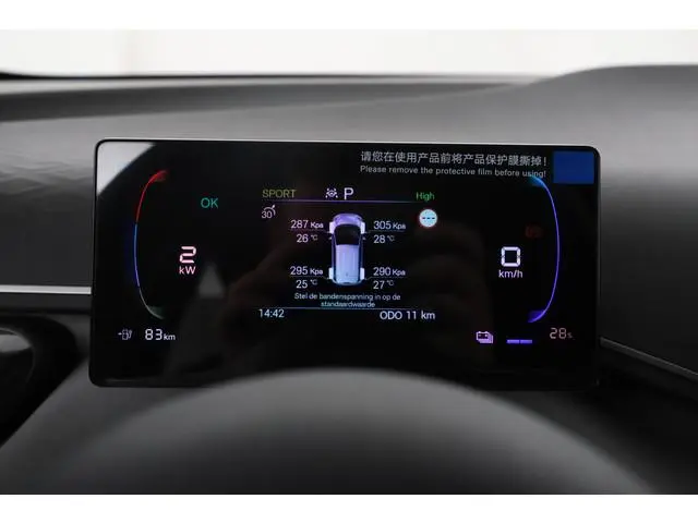 BYD DOLPHIN SURF