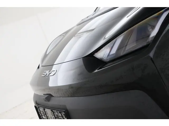 BYD DOLPHIN SURF