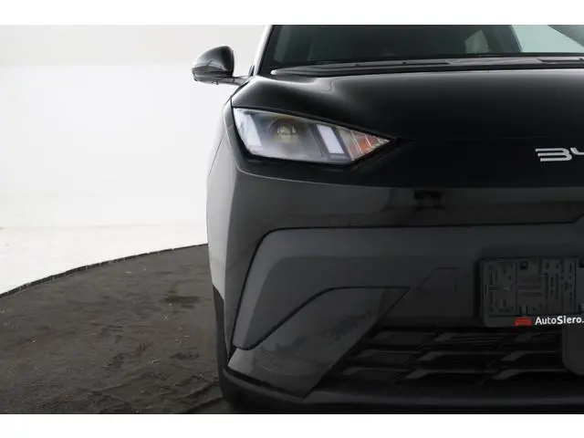 BYD DOLPHIN SURF