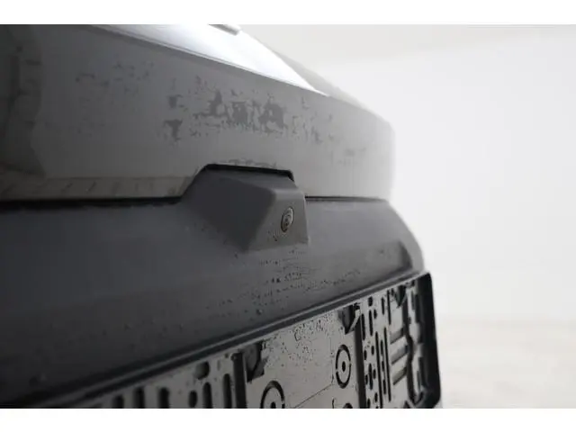 BYD DOLPHIN SURF