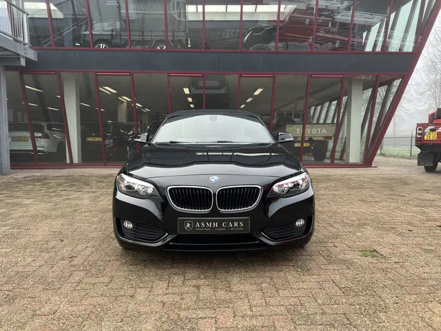 BMW 2-serie Cabrio 220i | NL auto | 2e eigenaar | PDC | Navi | Leder | Stoelverw.