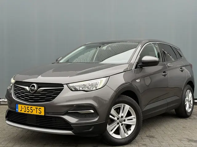 Opel Grandland X BJR 2020 1.2 Turbo 131 PK Business Executive CAMERA | PDC | CLIMA | NAVI | CRUISE |...