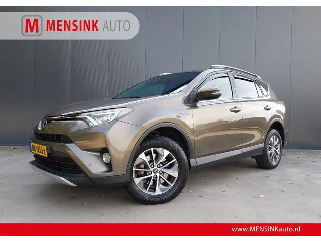 Toyota RAV4 2.5 Hybrid Style CAMERA LED NAVI CRUISE ECC TREKHAAK