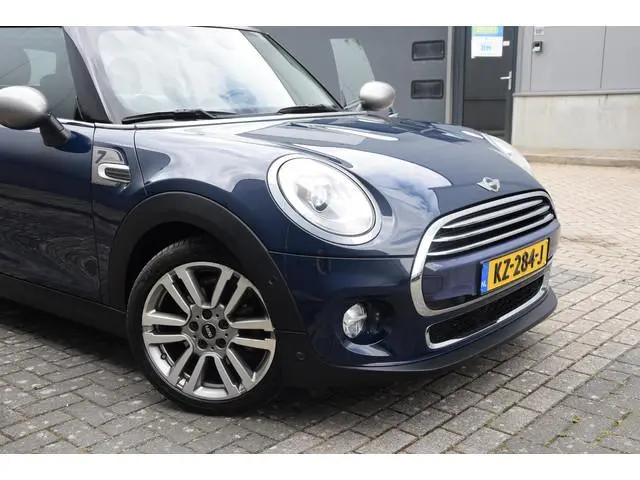 Mini Mini