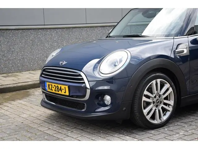 Mini Mini
