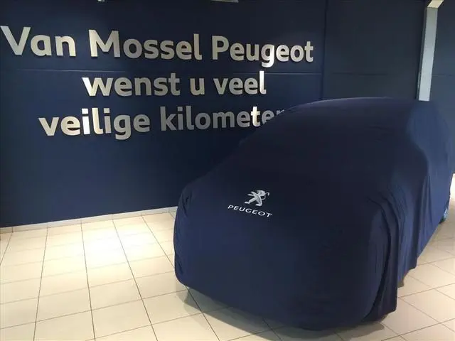 Peugeot e-308