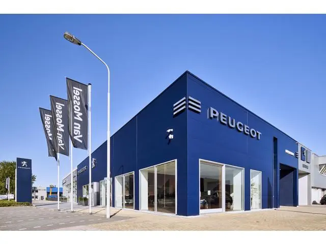 Peugeot e-308