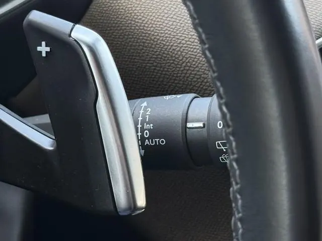 DS DS 3