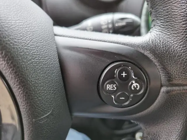 Mini Paceman