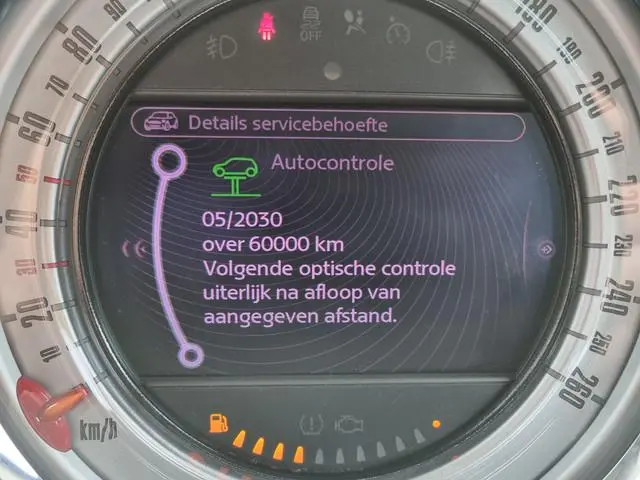 Mini Paceman