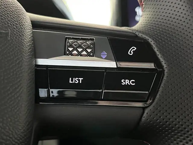 DS DS 3