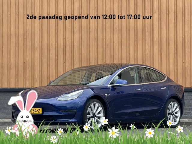 Tesla Model 3 Standard RWD Plus 60 kWh | 360° Camera | Panoramadak | Parkeersensoren | Keyless | Sto...