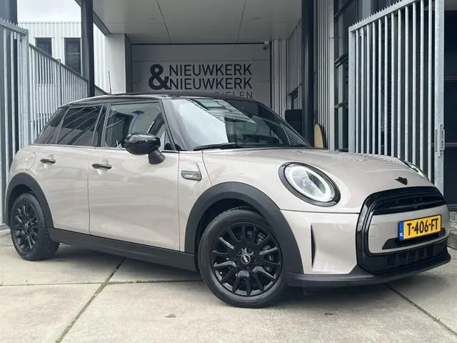 Mini Mini