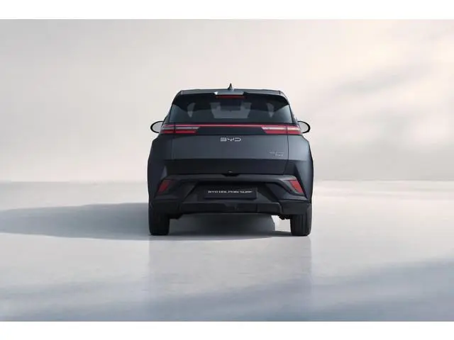 BYD DOLPHIN SURF