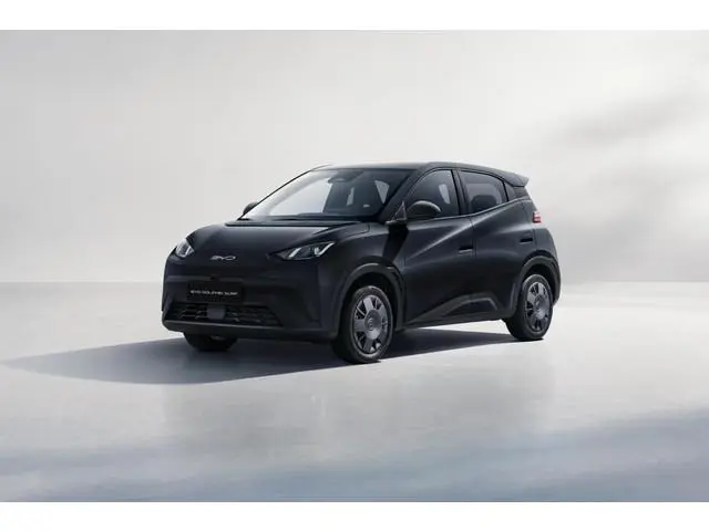 BYD DOLPHIN SURF