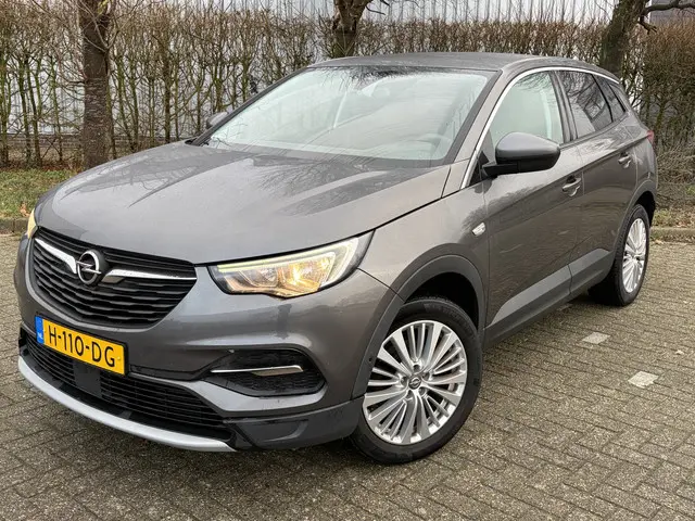 Opel Grandland X BJR 2020 1.2 131 PKTurbo Business Executive AUTOMAAT | TREKHAAK | CLIMA  | CRUISE |...