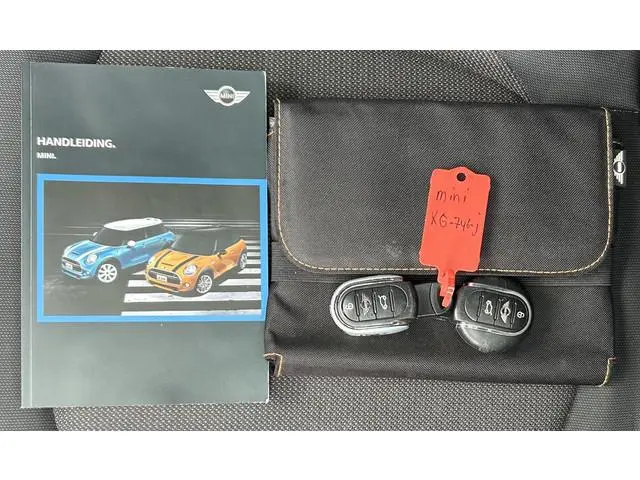 Mini Mini