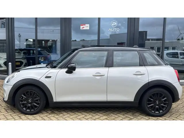 Mini Mini