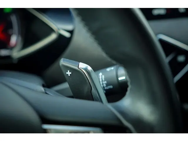 DS DS 3