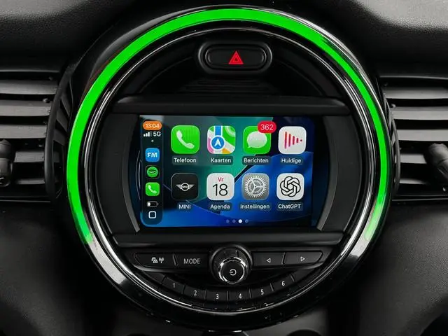 Mini Mini