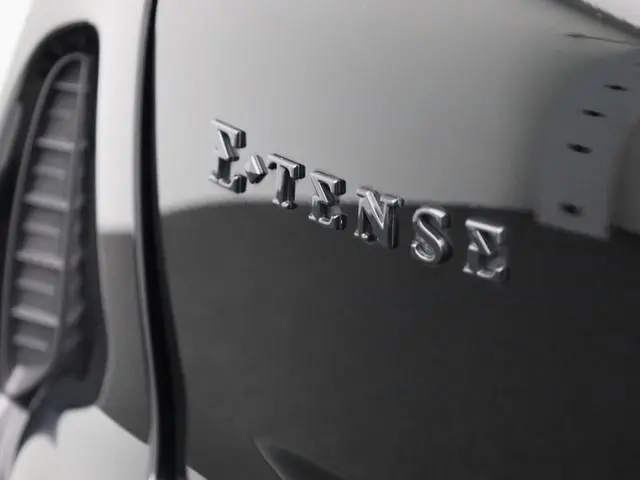 DS DS 3