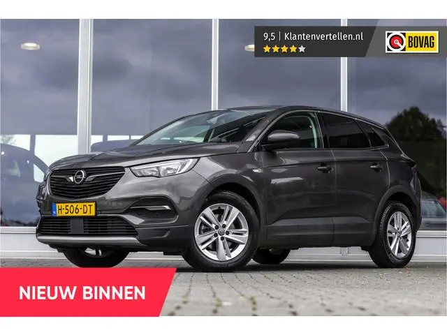 Opel Grandland X 1.2 Turbo Business Executive | Trekhaak | Carplay | LED
