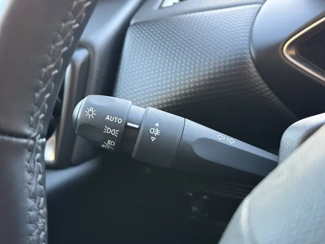 DS DS 3