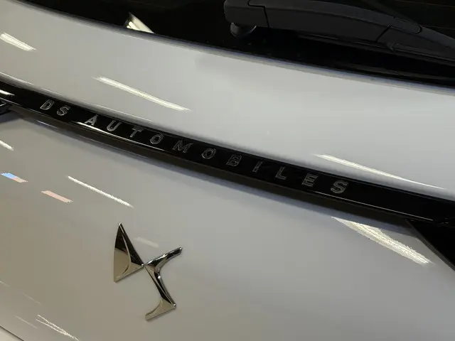 DS DS 3
