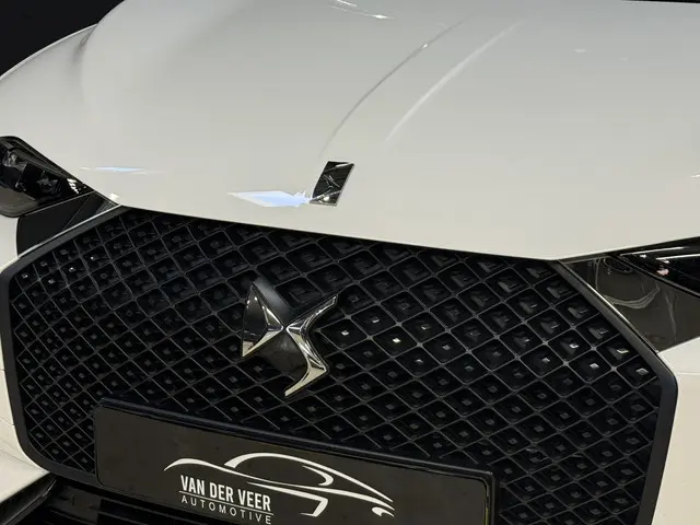 DS DS 3