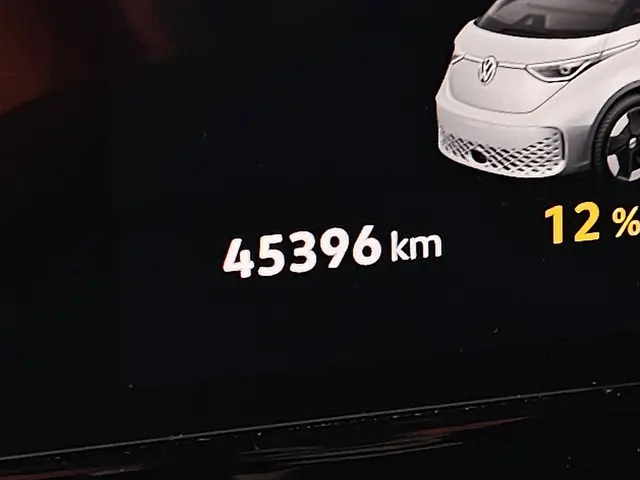 Volkswagen ID. Buzz Cargo