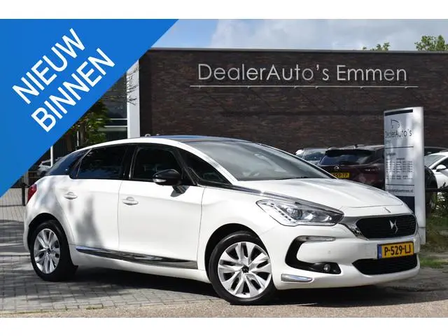 DS 5 1.6 Business Executive