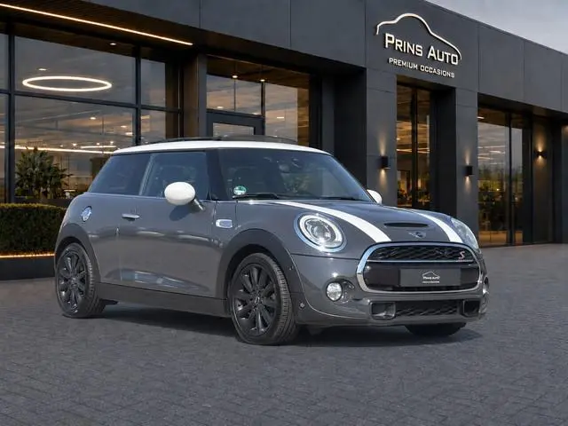 Mini Mini