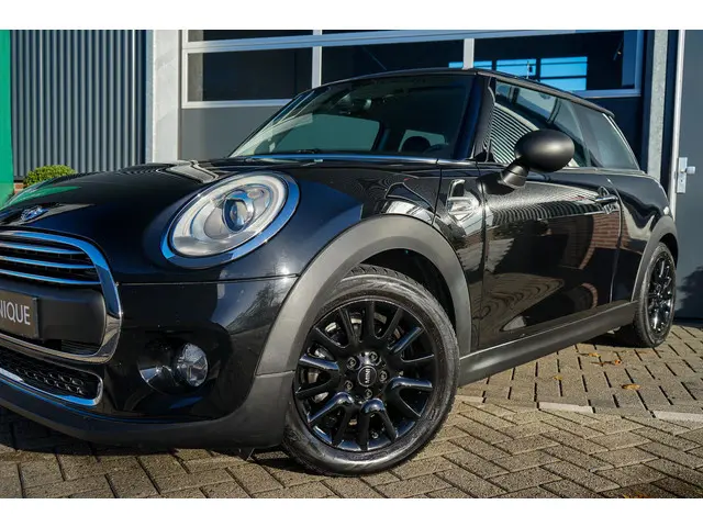 Mini One 1.2 Business