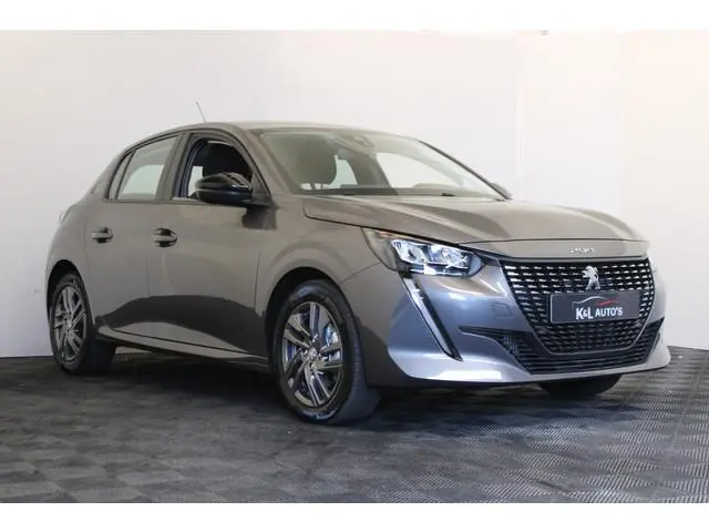 Peugeot 208 1.2 PureTech 100 Active |2-Persoons|