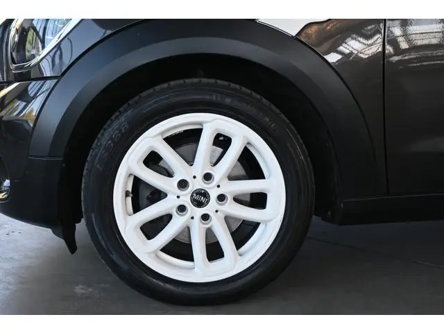 Mini Paceman