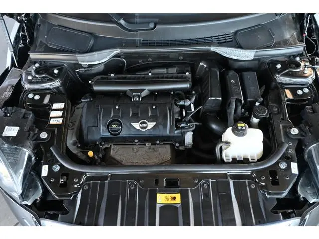 Mini Paceman