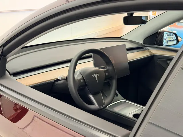 Tesla Model Y Performance AWD 75 kWh | Rood metallic | SOH 94,1% | Performance |