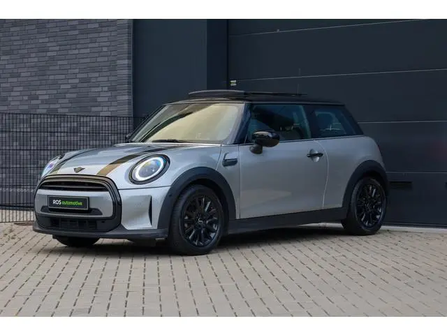 Mini Mini