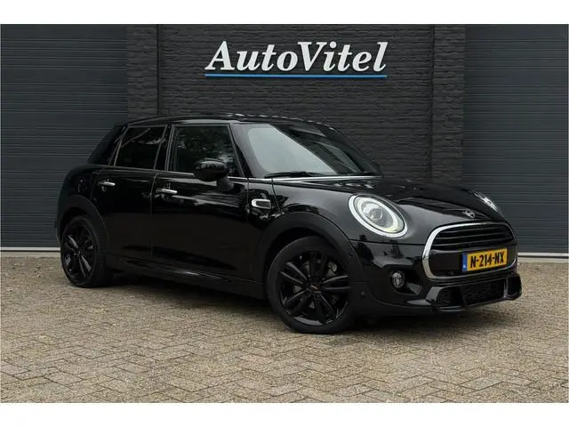 Mini Mini